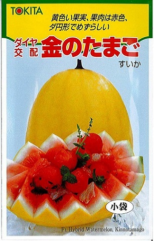 トキタ金の卵