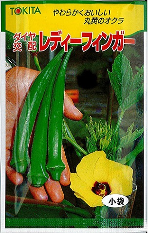 トキタレディーフィンガー