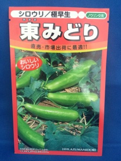 東みどり