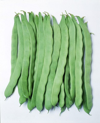 ビックリジャンボ