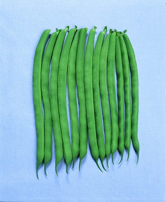 ｽｰﾊﾟｰｽﾃｲﾔｰ