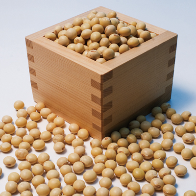 フクユタカ大豆