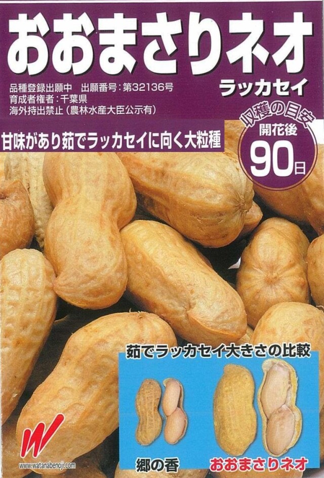 落花生種子 おおまさりネオ PVP