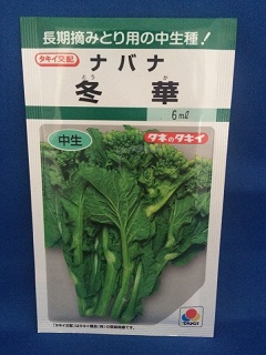 冬華