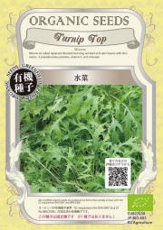 有機種子水菜