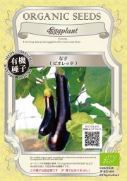 有機種子ビオレッタ茄子