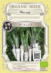 有機種子白ニンジンパースニップ