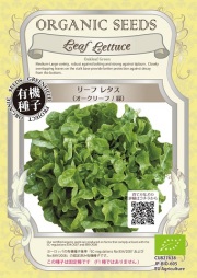 有機種子　オークリーフ緑