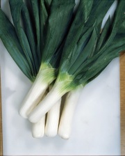 カネコ下仁田葱