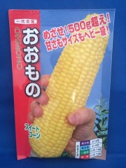 おおもの