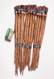 サカタダイエット