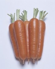 タキイ恋ごころ