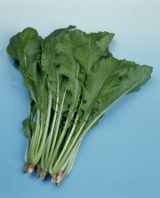 野沢菜