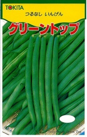 トキタグリーントップ
