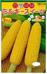 トキタミルキースイーツ