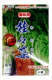 トキタ娃々菜