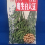 えんれい