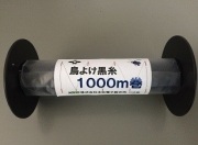 黒ﾃｸﾞｽ