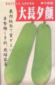 大長夕顔