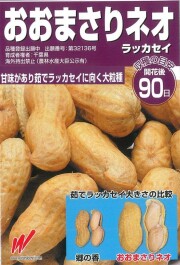 落花生種子　おおまさりネオ　　PVP