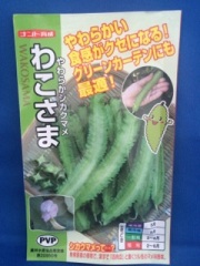 わこさま