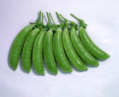 ニムラサラダスナップ