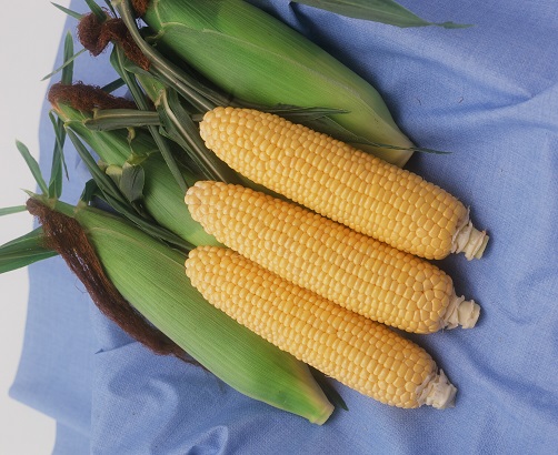 あまいんです８８