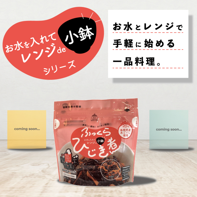 ふっくらひじき煮 45g (2人前) 10袋セット 国産乾物100%｜岩のり工房