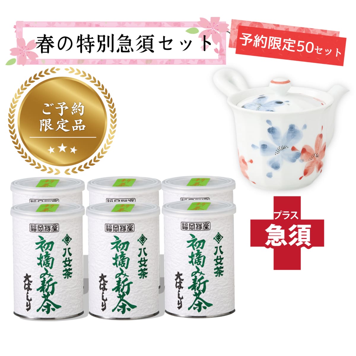 【T-716・16】初摘み新茶・大はしり100ｇ　6缶＋茶用品