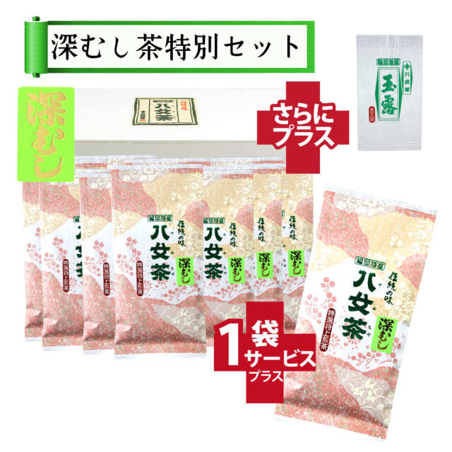 【T-62・チ】マイルド深むし特選茶　10+1袋+プレゼント品