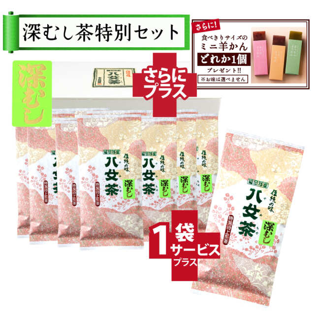 【T-62・チ】マイルド深むし特選茶　10+1袋+プレゼント品