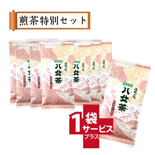 【T-65・サ】特選特上煎茶 10+1袋