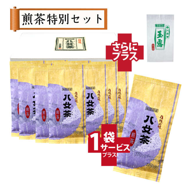 【T-175・タ】煎茶・松　10+1袋+プレゼント品