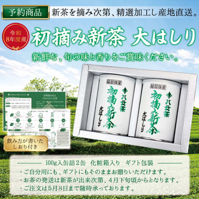 G-17イメージ
