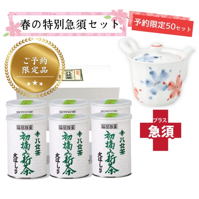 【T-716・16】初摘み新茶・大はしり100ｇ　6缶＋茶用品