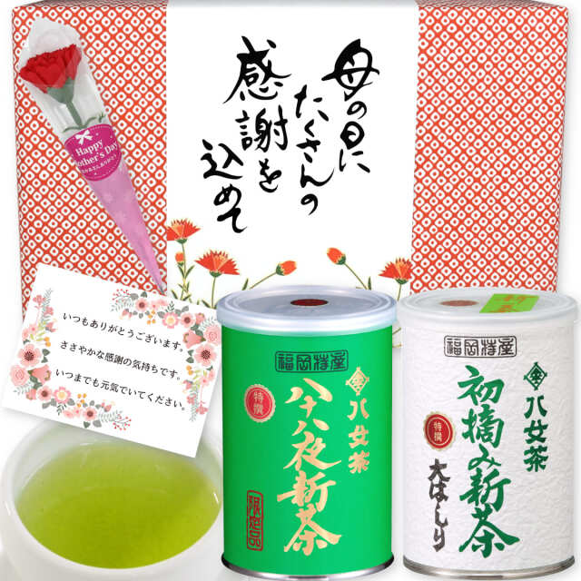 【G-993】初摘み新茶・特選大はしり◇限定品・特選八十八夜新茶 100g×2缶 母の日特別ギフトセット