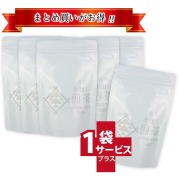 【T-317・セ】水出し煎茶ティーバッグ　5+1袋