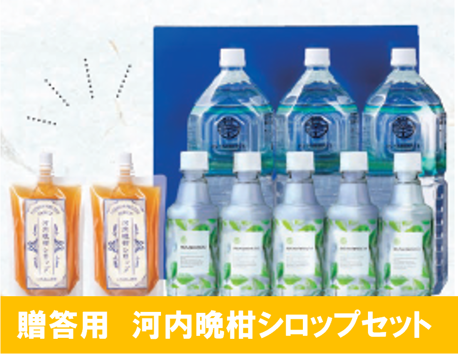 贈答用岩深水オリジナル河内晩柑シロップセット