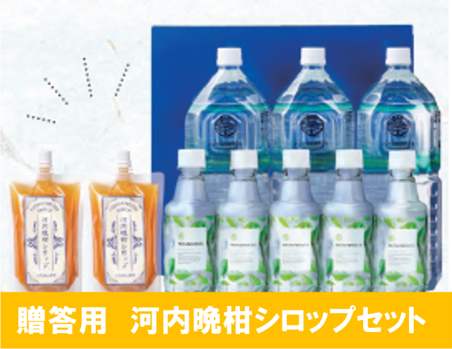 贈答用岩深水オリジナル河内晩柑シロップセット