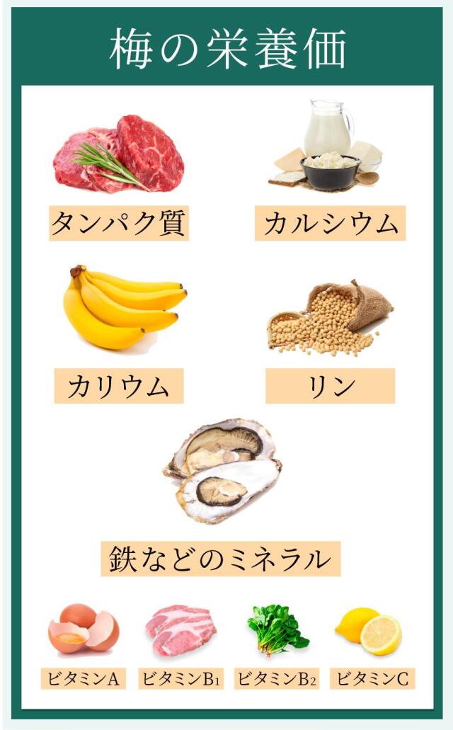 梅エキスゼリー