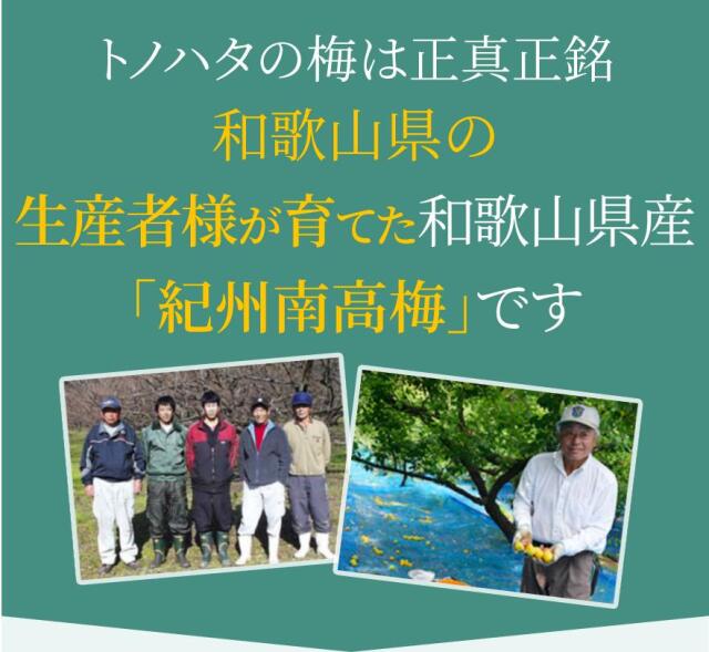 梅エキスゼリー