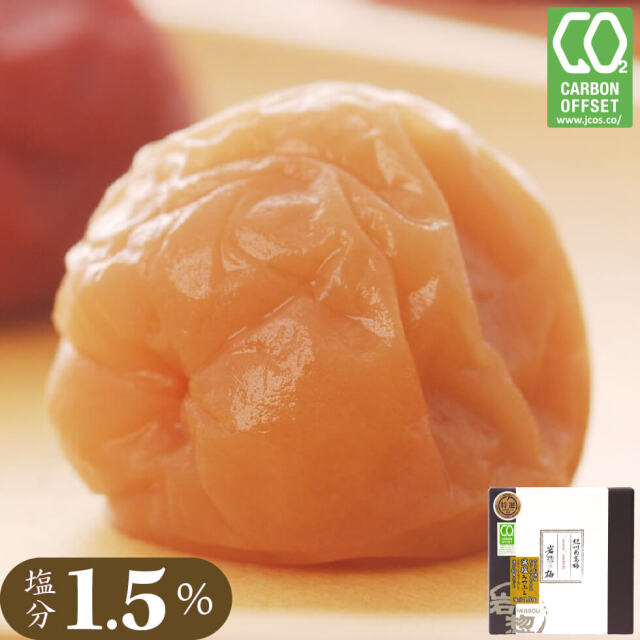 600g 減塩みつふる はちみつ味 紀州南高梅