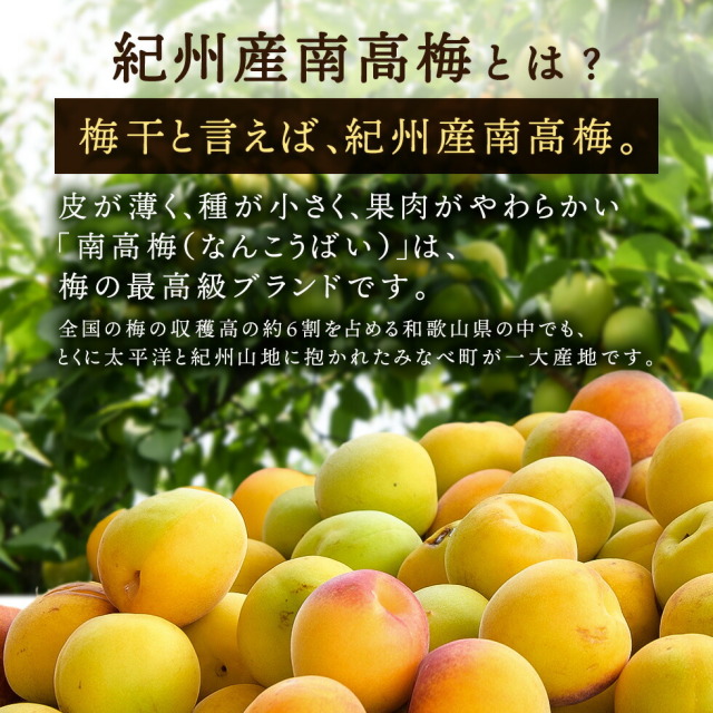 ラスト当日出荷 和歌山みなべ町産 南高梅 中熟入2L以下小粒青梅 ラスト当日出荷 和歌山みなべ町産 南高梅 中熟入2L以下小粒青梅