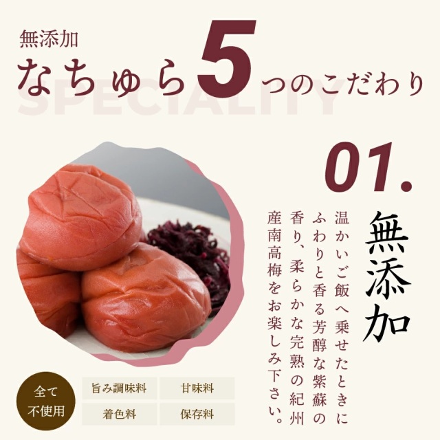 食品添加物無添加の美味しい梅干し なちゅら600g｜梅干・南高梅のお