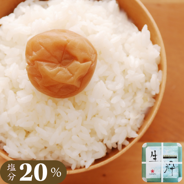 600g 昔ながらの梅干 生粋 紀州南高梅