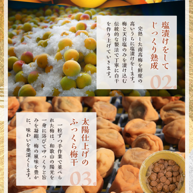 塩分1.5％のおいしいしそ漬味梅干し 特選L〜2L260g｜梅干・南高梅のお