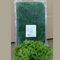 生アーサ冷凍 1kg （未選別） いぜなまーさむんショップ