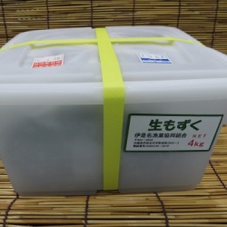 完熟生もずく4Kg （選別済み）