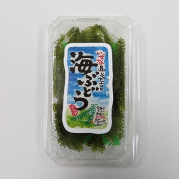 海ぶどう（生） 60g