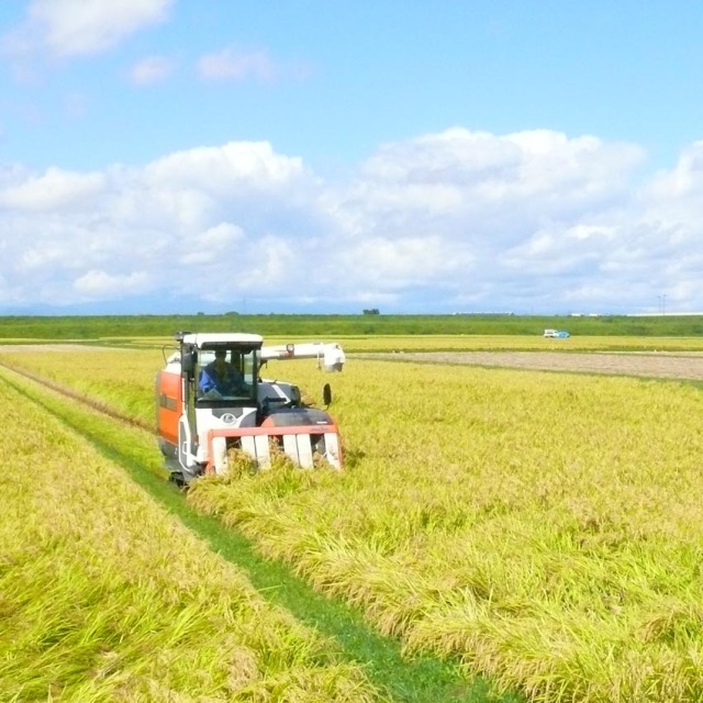 新米】【送料無料！】宮城県登米市産ひとめぼれ 玄米3kg 農薬